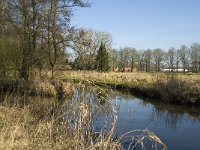 NL, Limburg, Weert, Broekmolen 2, Saxifraga-Jan van der Straaten